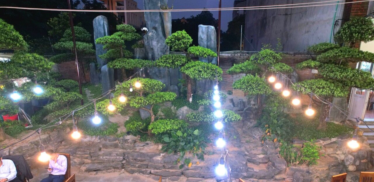 tung-bo-cay